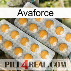 Avaforce levitra2